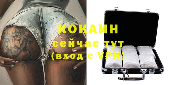 молекула духа Балахна