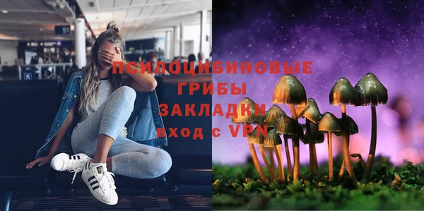 молекула духа Балахна